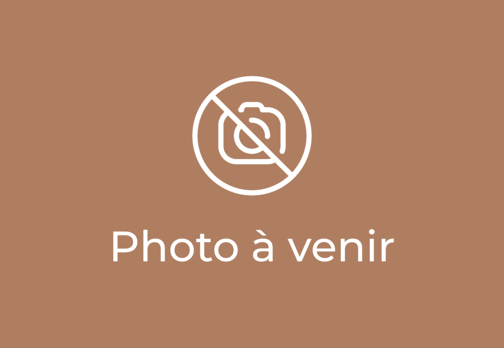 image_2024-07-21_190158296